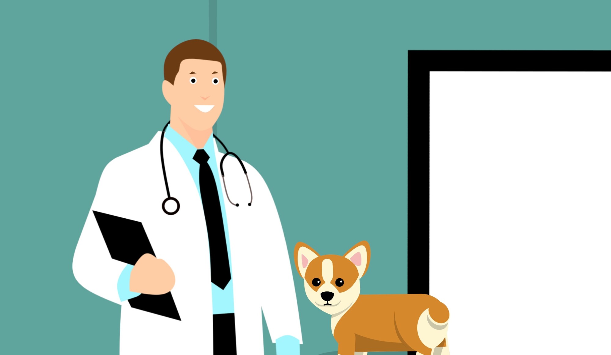 Veterinary Clinic Decor: How to Choose the Best Veterinary Hospital Design