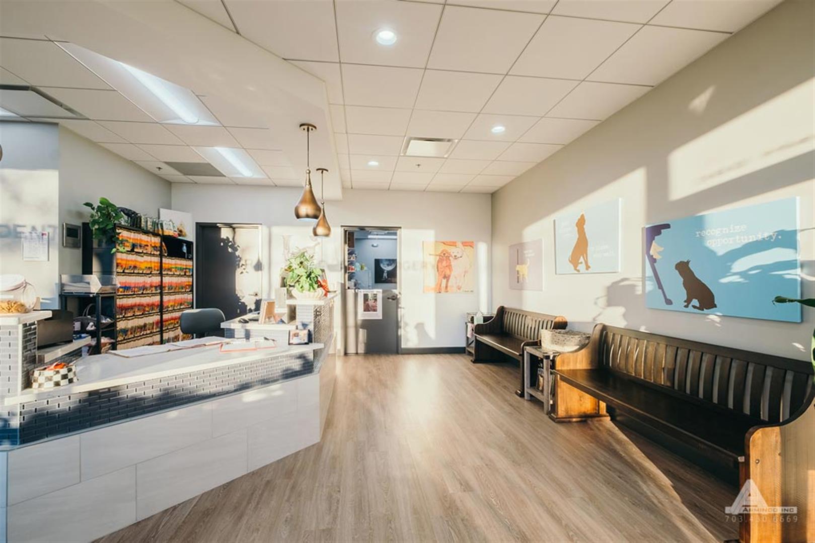 Herndon animal medical center | Interior Design Portfolio Herndon animal medical center | Interior Design Portfolio